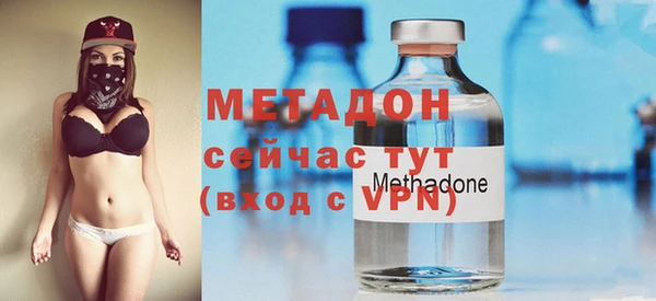хмурый Дубна