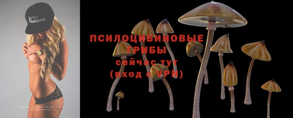 амфетамин Белокуриха